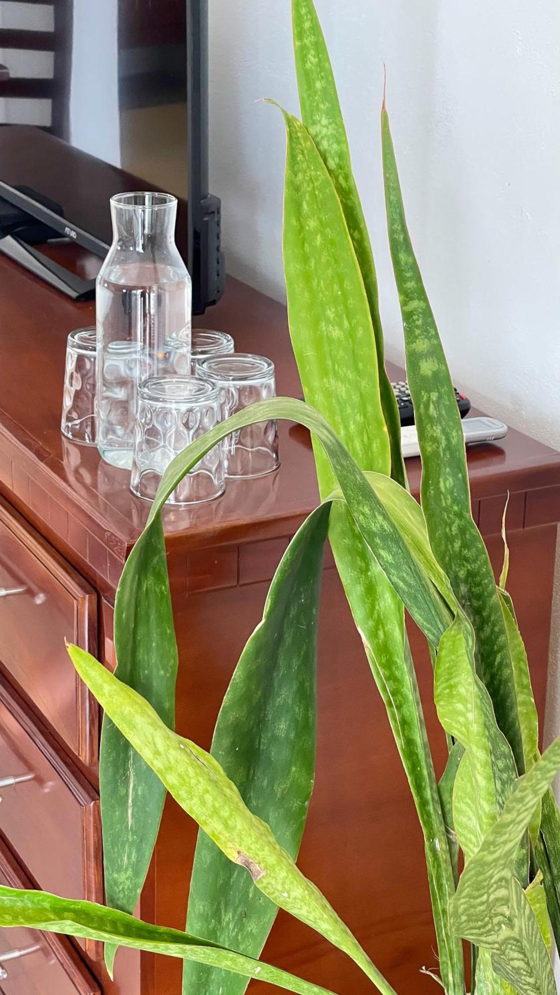 Quinta Alberto Boutique Hotel San Blas Værelse billede
